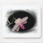 Gorgeous Petals 11