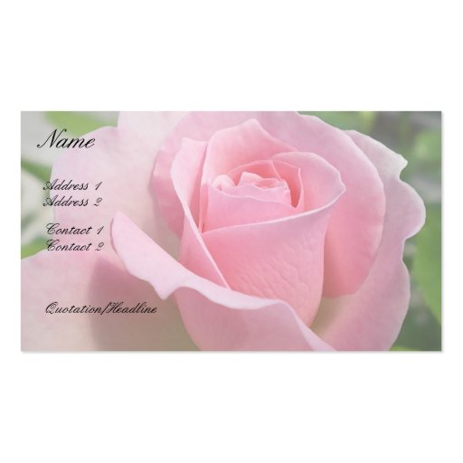 Gorgeous Pink Rose Business Card