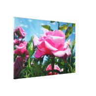 Gorgeous pink rose in blue sky. Floral photography Gallery Wrapped Canvas