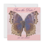 Gorgeous Purple Butterfly Announcements
