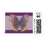 Gorgeous Purple Butterfly Postage