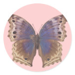 Gorgeous Purple Butterfly Round Stickers