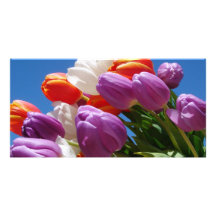 Gorgeous Purple Tulips Card Easter Mother's Day Photo Card