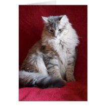 gorgeous raisin card
