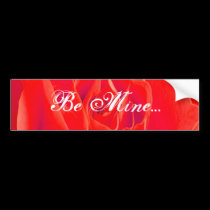 Gorgeous Red Red Rose bumper stickers