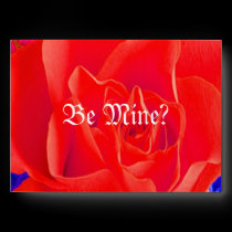 Gorgeous Red Red Rose XII envelopes