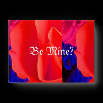Gorgeous Red Red Rose XIV envelopes