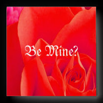Gorgeous Red Red Rose XVI envelopes