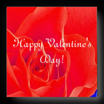 Gorgeous Red Red Rose XVII envelopes