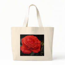 Gorgeous Rose 1 bags