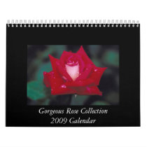 Gorgeous Rose 2009 Calendar