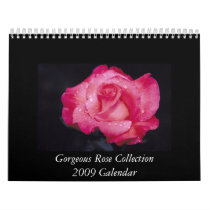 Gorgeous Rose 2009 Calendar