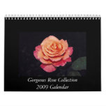 Gorgeous Rose 2009 Calendar