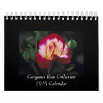 Gorgeous Rose 2010 Calendar