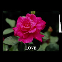 Gorgeous Rose 2 cards