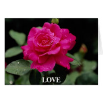 Gorgeous Rose 2 cards