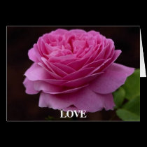 Gorgeous Rose 3 cards