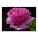 Gorgeous Rose 3 cards by MickeyElvis Gorgeous Rose 3 cards