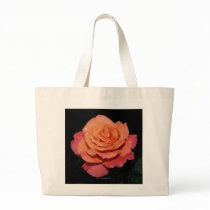 Gorgeous Rose 4 bags
