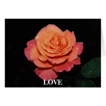 Gorgeous Rose 4 cards