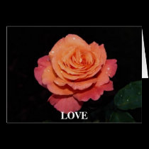 Gorgeous Rose 4 cards