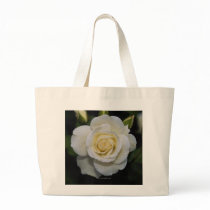 Gorgeous Rose 5 bags