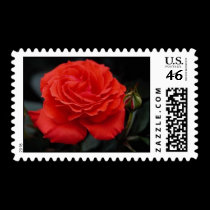 Gorgeous Roses 1 postage