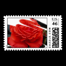 Gorgeous Roses 1a postage