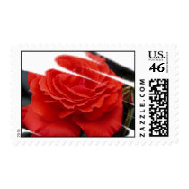 Gorgeous Roses 1a stamps