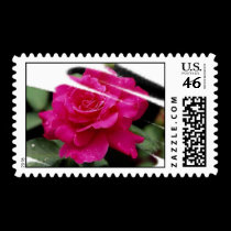 Gorgeous Roses 2a postage