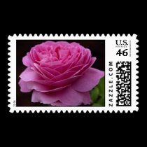 Gorgeous Roses 3 postage