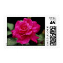 Gorgeous Roses 3 postage by MickeyElvis Gorgeous Roses 3 postage