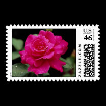 Gorgeous Roses 3 postage