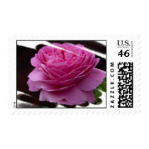 Gorgeous Roses 3a postage