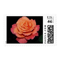 Gorgeous Roses 4 postage
