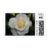 Gorgeous Roses 5 postage