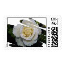Gorgeous Roses 5a postage