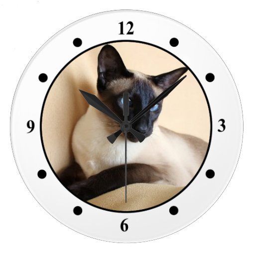 Siamese Cat Face Large Clock Zazzle