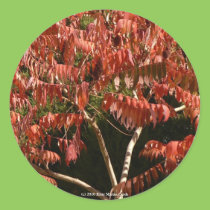 Gorgeous Sumac stickers