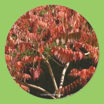 Gorgeous Sumac stickers