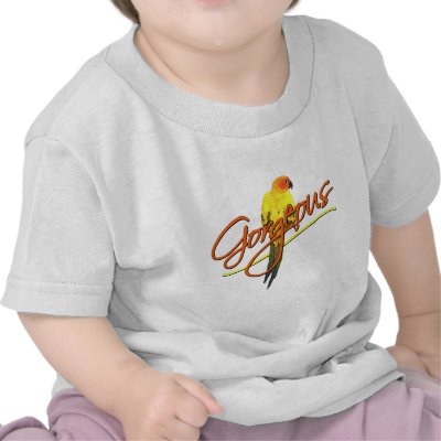 Gorgeous Sun Conure Baby T-Shirt by MenagerieMayhem