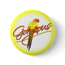 Gorgeous Sun Conure Button by MenagerieMayhem Gorgeous Sun Conure Button