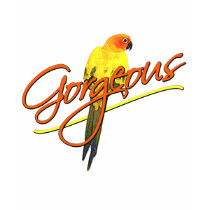 Gorgeous Sun Conure Kid's Ringer TShirt by MenagerieMayhem Gorgeous Sun Conure Kid's Ringer TShirt