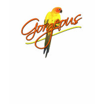 Gorgeous Sun Conure Ladies T-Shirt by MenagerieMayhem Gorgeous Sun Conure Ladies T-Shirt