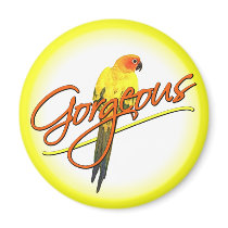 Gorgeous Sun Conure Magnet by MenagerieMayhem Gorgeous Sun Conure Magnet