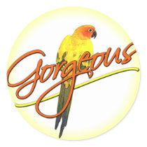 Gorgeous Sun Conure Stickers by MenagerieMayhem Gorgeous Sun Conure Stickers