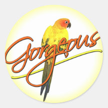 Gorgeous Sun Conure Stickers