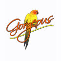 Gorgeous Sun Conure Women's Shirt shirt