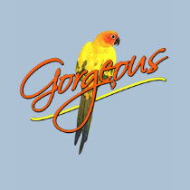Gorgeous Sun Conure Women's Shirt
