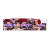 GORGEOUS VIEW! Bumpersticker by zazzitup GORGEOUS VIEW! Bumpersticker